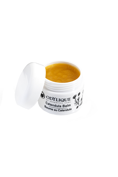 Baume au Calendula Bio (20 g) / Odylique by Essential Care